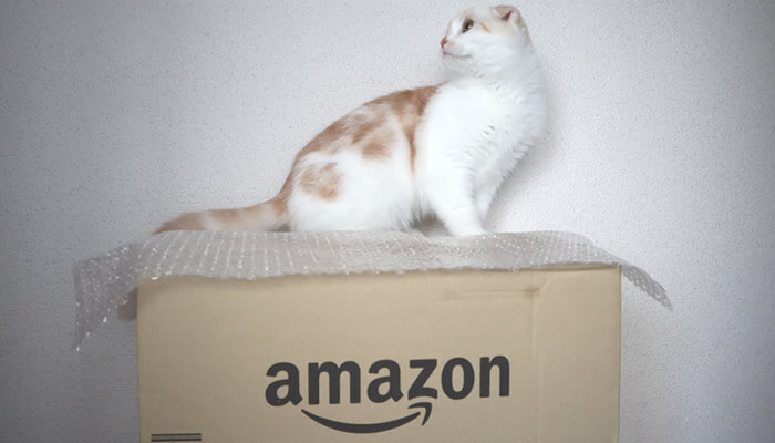 Amazonの箱と猫